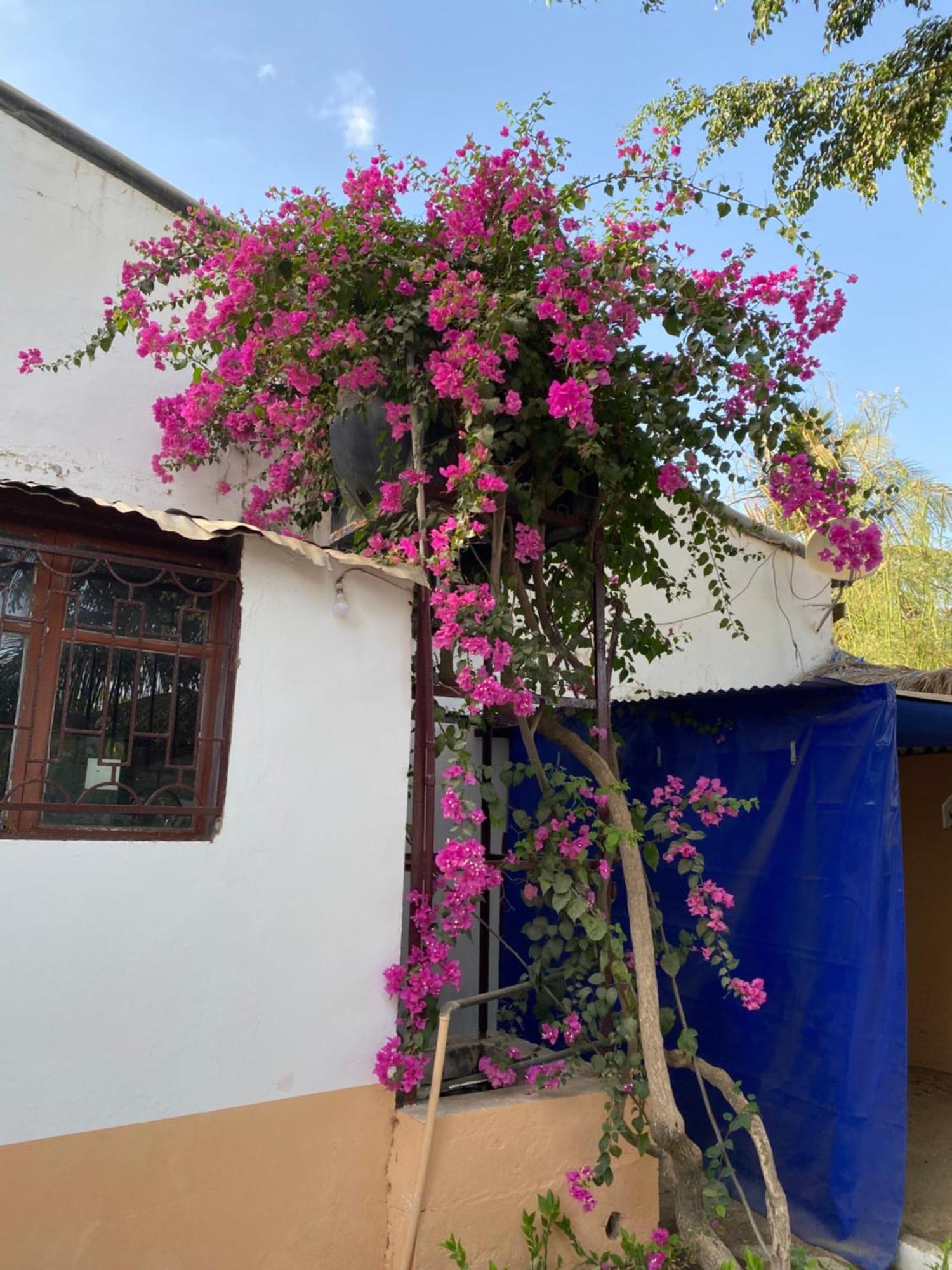 La Case Africaine Saly Portudal Exteriör bild